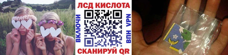 блэк спрут как зайти  Дмитриев  Наркотические марки 1500мкг  магазин продажи  