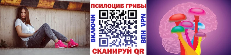 Галлюциногенные грибы Psilocybine cubensis Дмитриев